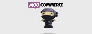 portada woocommerce