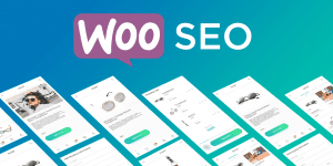woo commerce SEO